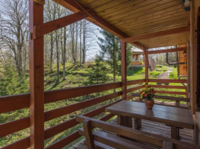 Adorable home with pool and jacuzzi for use surrounded by beautiful nature